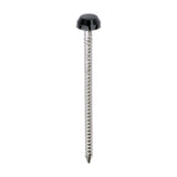 TIMCO Polymer Headed Pin A GREY