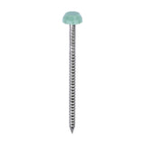 TIMCO Polymer Headed Pin C