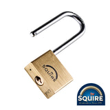TIMCO Premium Brass Padlock 2.5" SS