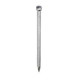 TIMCO Round Lost Head Nail